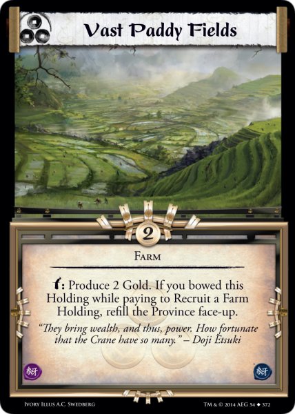 Vast Paddy Fields